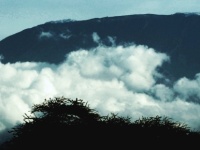 Keňa 2012