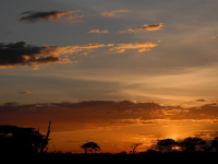 Keňa, Tanzánie 2010